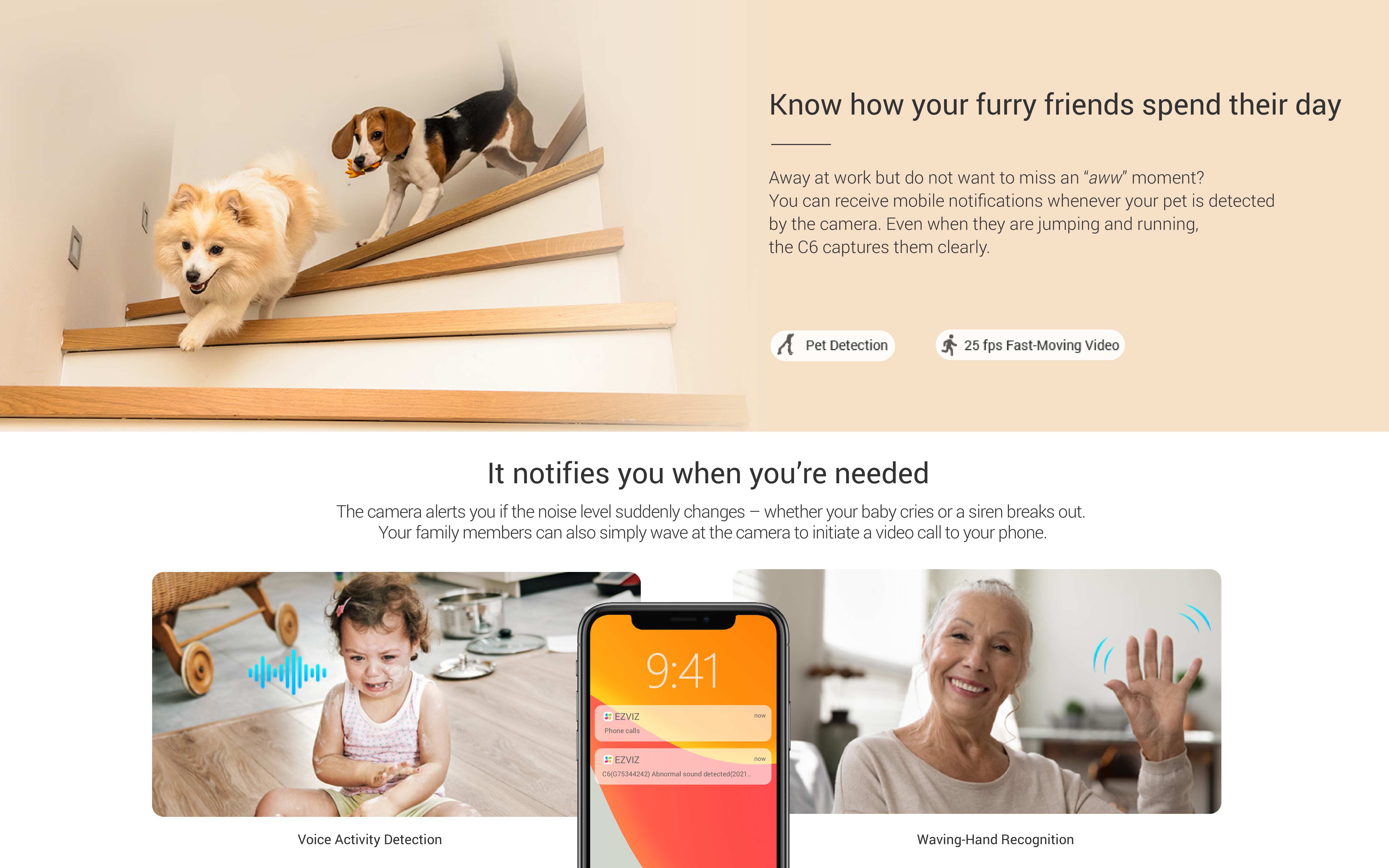 a0ca29d4-5b26-4766-9f1f-338856d7a02d-2 