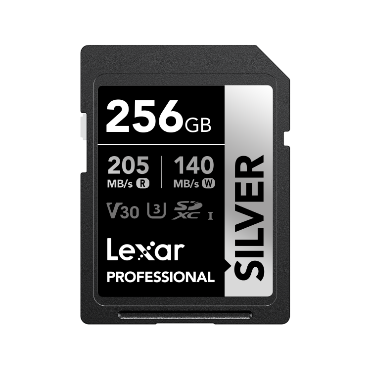 SILVER_SDXC_256GB_Photo1 